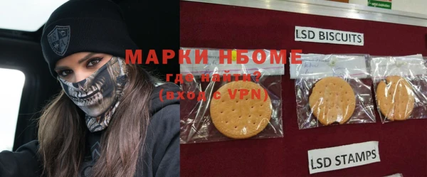 гашик Медногорск