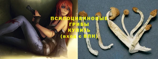 гашик Медногорск
