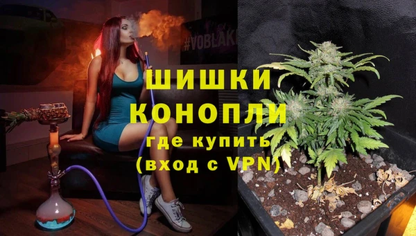 гашик Медногорск