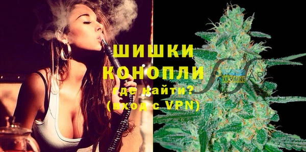 гашик Медногорск