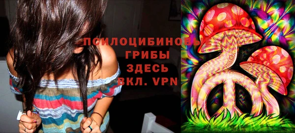 наркотики Медвежьегорск