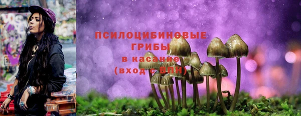 гашик Медногорск
